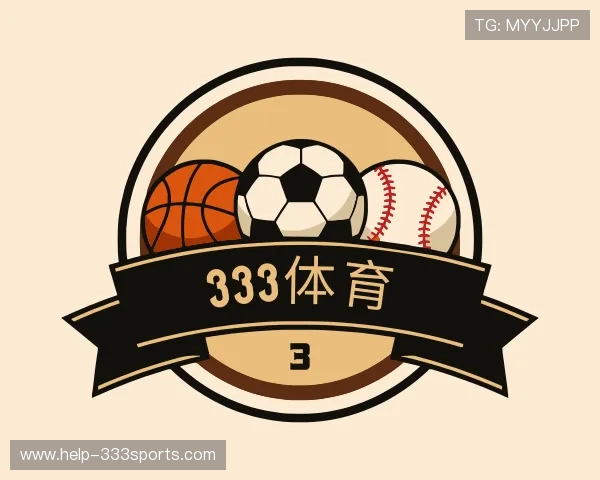 关于333体育